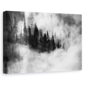 Tablou canvas - Agharta, Ceata, Padure, Polonia, Peisaj, Alb-Negru, 40 x 60 cm