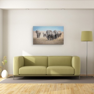 Tablou canvas - Amintind De Titani, Elefanti, Elefant, Familie, Turma, Pasari, 50 x 80 cm - Img 2