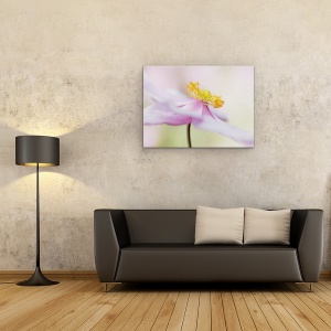 Tablou canvas - Anemona Japoneza, Roz, Floare, 50 x 70 cm - Img 2