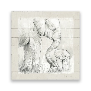 Tablou Canvas - Animal, Elefant, Africa, 60 x 60 cm