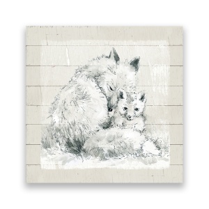 Tablou Canvas - Animal, Vulpe, 60 x 60 cm