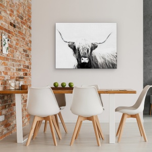 Tablou canvas - Animale, Bovine Highland Scotiene, Alb-Negru, 75 x 100 cm - Img 4