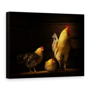 Tablou canvas - Animale De La Ferma, Pasari, Norvegia, Natura, 75 x 100 cm