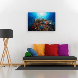 Tablou canvas - Apnee, Sub Apa, Laguna, Recif, Ocean, Mare, 40 x 60 cm - Img 2