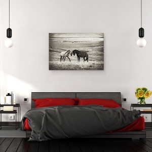 Tablou canvas - Apropiere, Contrast, Cai, Peisaj, Tonifiat, Desaturat, 40 x 60 cm - Img 3