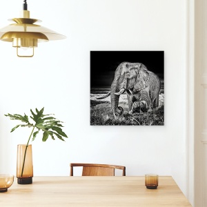 Tablou canvas - Apus La Waterhole, Animale, Salbatic, Elefant, Dinti Ascutiti, 90 x 90 cm - Img 4