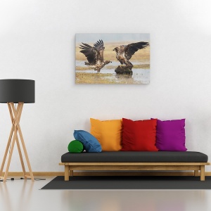 Tablou canvas - Aripi Deschise, Natura, Pasare, Vultur, Salbatic, Salbatic, 60 x 90 cm - Img 2