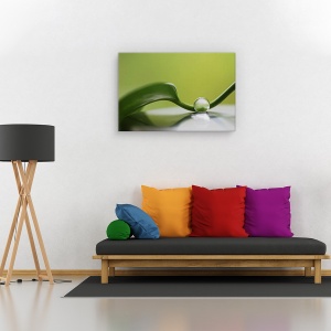 Tablou canvas - Armonie verde, Natura moarta, Frunza, Verde, Reflectie, 60 x 90 cm - Img 2