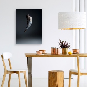 Tablou canvas - Ascensiune, Dansatoare, Balet, Om, Performanta, Pozeaza, 75 x 100 cm - Img 4
