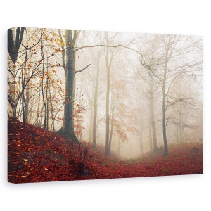 Tablou canvas - Asteptand Caprioara, Padure, Stare De Spirit, Ceata, Frunze, 40 x 60 cm