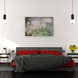 Tablou canvas - Aterizare Iminenta, Macro, Fluture, Fauna, Insecta, Iarba, Inchis, 80 x 120 cm - Img 3
