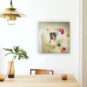 Tablou Canvas - Baie, Spalare, Spuma, Rata, Dragut, 90 x 90 cm - Img 4