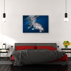 Tablou canvas - Balena Cu Cocoasa, Sub Apa, Scufundare, 40 x 60 cm - Img 3
