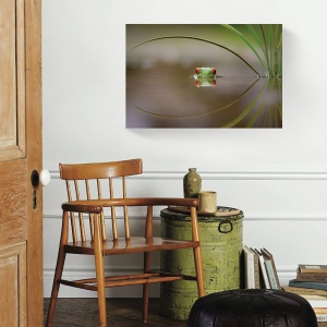 Tablou canvas broască natură lac 60x90 cm