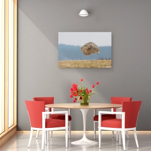 Tablou canvas - Bufnita De Virginia, Look, Ochi, Zbor, Zbor, Zburand, 60 x 90 cm - Img 4