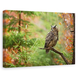 Tablou canvas - Bufnita Euroasiatica, Padure, Salbatic, Natura, 60 x 90 cm