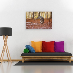 Tablou canvas - Bufnita Gri, Pasare, 80 x 120 cm - Img 2