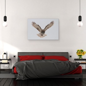 Tablou canvas - Bufnita Gri, Zbor, Aripi, Greva, Hit, 80 x 120 cm - Img 3