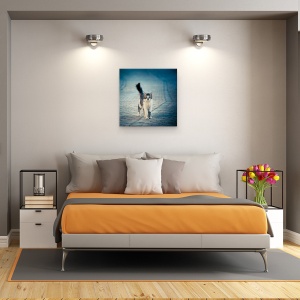 Tablou canvas - Bufnita Mica, Pisica, Thasos, Pet, Dragut, Animal, 60 x 60 cm - Img 3