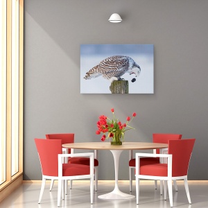 Tablou canvas - Bufnita Polara, Bufnita, Pelete, Iarna, Natura, Salbatic, 40 x 60 cm - Img 4