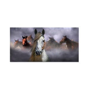 Tablou Canvas - Cai, Animale, Ceata, 50 x 100 cm