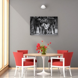 Tablou canvas - Cainele, Dani, Trib, Papua, Familie, Caine, 40 x 60 cm - Img 4