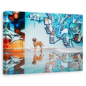 Tablou canvas - Caini, Urban, Graffiti, Industrie, 60 x 90 cm