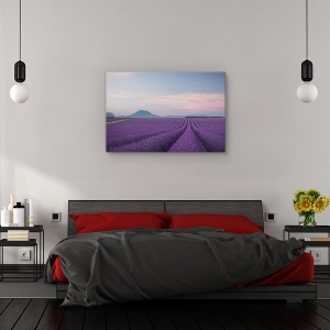 Tablou canvas - Camp de lavanda, Peisaj, Camp, Flori, Franta, 40 x 60 cm - Img 3