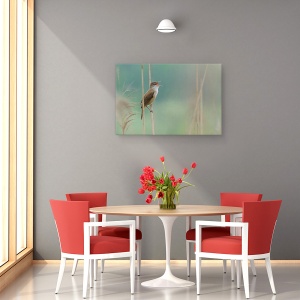 Tablou canvas - Cantaretul Din Stuf, Reed, Rau, Pasare, Canta, Parco, 60 x 90 cm - Img 4