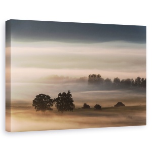 Tablou canvas - Ceata densa peste campie, Peisaj, Copaci, Atmosfera, 80 x 120 cm