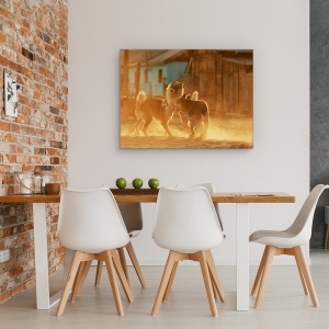 Tablou canvas - Chemarea Salbaticiei, Caini, Lupta, Animal, Pet, Curte, 60 x 80 cm - Img 4