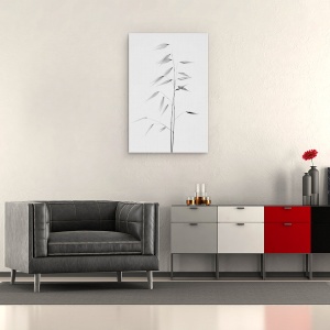 Tablou canvas - Claritatea Naturii, Alb-Negru, Natura Moarta, Iarba, Iarba, Macro, 40 x 60 cm - Img 2