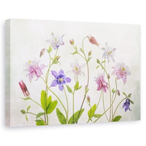 Tablou canvas - Columbine, Natura moarta, Culori Pastelate, Flori, 60 x 90 cm