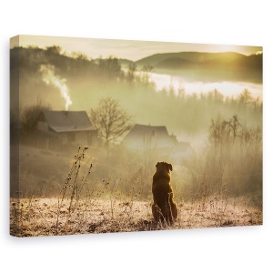 Tablou canvas - Conexiune Buna, Rasarit De Soare, Aur, Caine, Calm, Pet, 80 x 120 cm