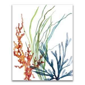 Tablou Canvas - Coral, Ocean, Apa, 60 x 75 cm
