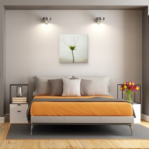 Tablou canvas - Cosmos Alb, Luminos, Floare, Natura Moarta, Punct, 90 x 90 cm - Img 3