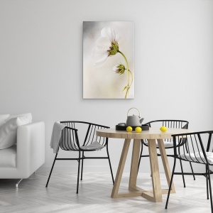 Tablou canvas - Cosmos, Natura Moarta, Floare, 60 x 90 cm - Img 4