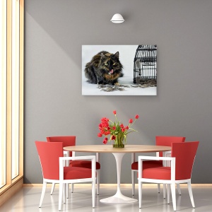 Tablou canvas - Cu Gust De Pui, Umor, Pisica, Cusca, Pene, Alb, 60 x 90 cm - Img 4