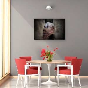 Tablou canvas - Cunoasterea Imemoriala A Nou-Nascutilor, Animale, Pui De Elefant, Ochi, 40 x 60 cm - Img 4
