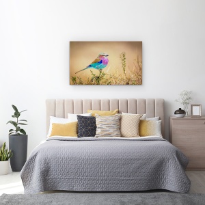 Tablou canvas - Curcubeu Zburator, Pasare, Colorat, 50 x 80 cm - Img 3