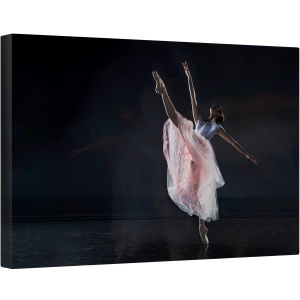 Tablou canvas - Dansatoare, Balerina, Balet, Gratie, Performanta, Roz, 60 x 90 cm