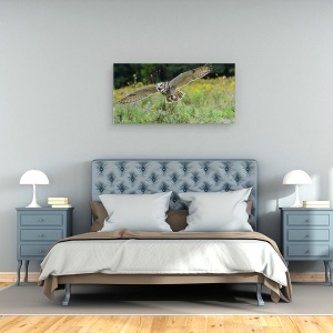 Tablou canvas - Deschide Aripile Si Zbori, Bufnita, Raptor, Pasare, 50 x 100 cm - Img 3