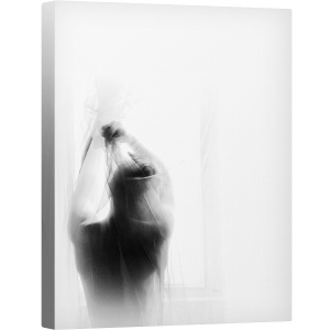Tablou canvas - Dimineata, Contrast, Fragil, Transparent, 60 x 80 cm