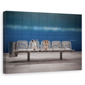 Tablou canvas - Dimineata De Luni, Caini, Hamburg, Metrou, Albastru, Animale, 60 x 90 cm