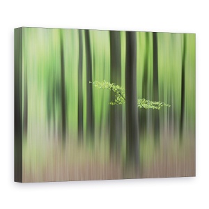 Tablou canvas - Dimineata De Primavara, Peisaj, Verde, Vara, Frunza, 75 x 100 cm