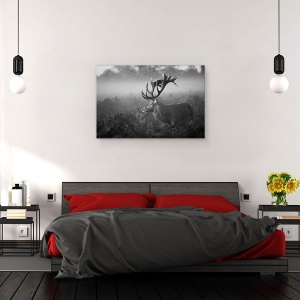 Tablou decorativ canvas natură cu căprioară și elan