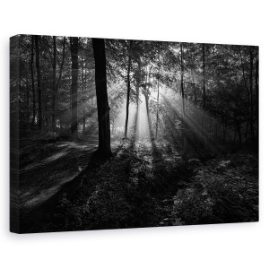 Tablou canvas - Dimineata insorita, Peisaj, Soare, Raze, Copaci, 80 x 120 cm