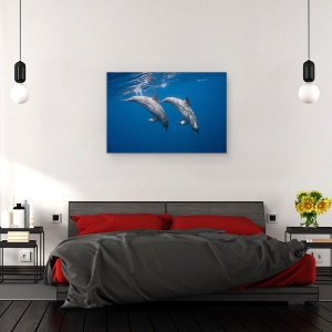 Tablou canvas - Doi Delfini, Ocean, Mare, Sub Apa, 40 x 60 cm - Img 3