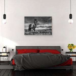 Tablou canvas - Doua De Un Fel, Islanda, Animale, Peisaj, Natura, Vant, 40 x 60 cm - Img 3