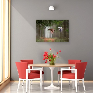 Tablou canvas - Doua, Pasari, Bokeh, Salbatic, Natura, 60 x 90 cm - Img 4